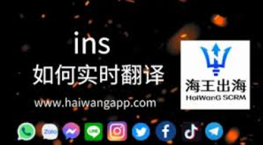 海王出海进粉数据统计